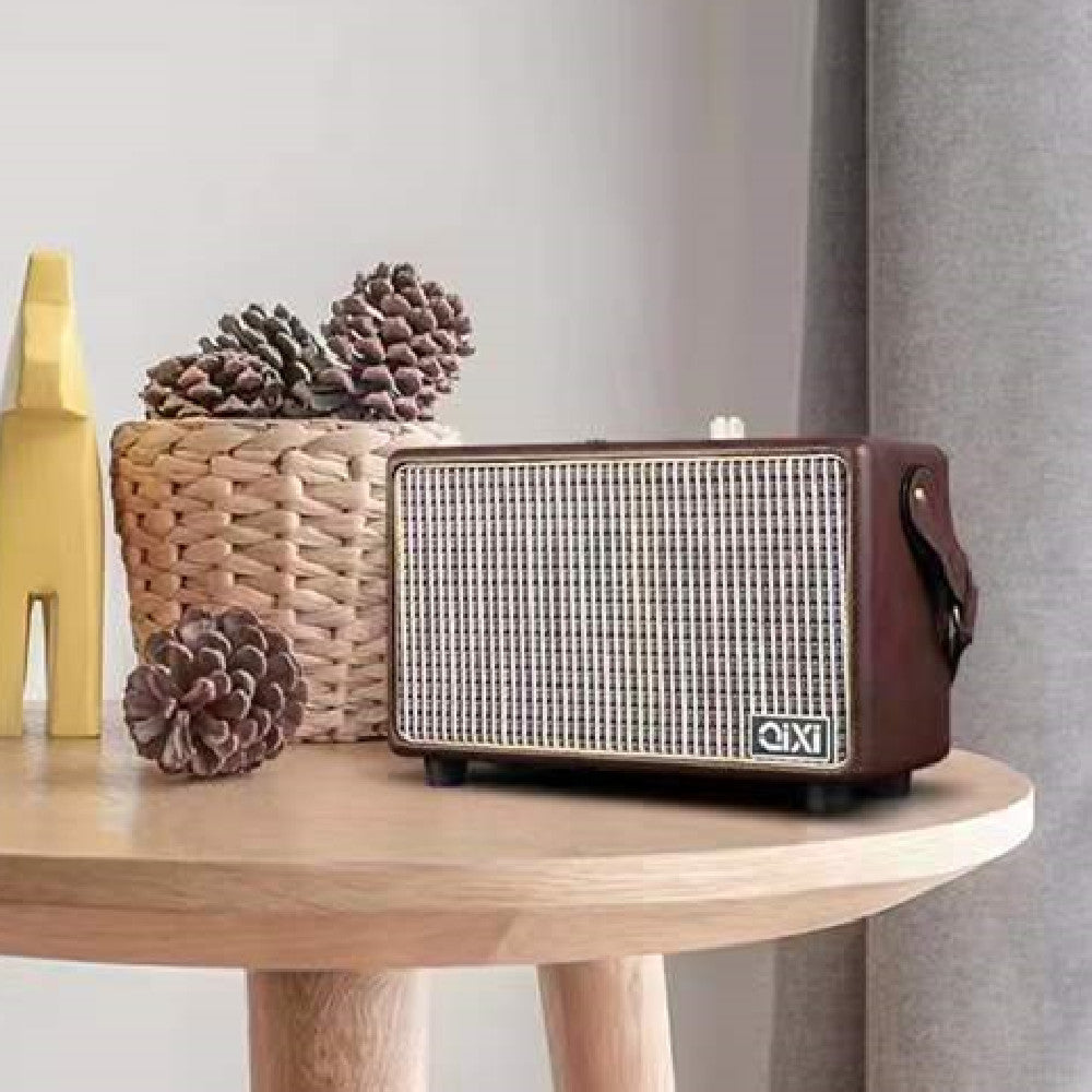Mini-portable High Power Speaker With Microphone