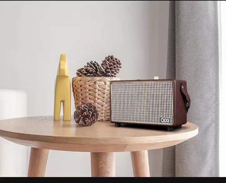 Mini-portable High Power Speaker With Microphone