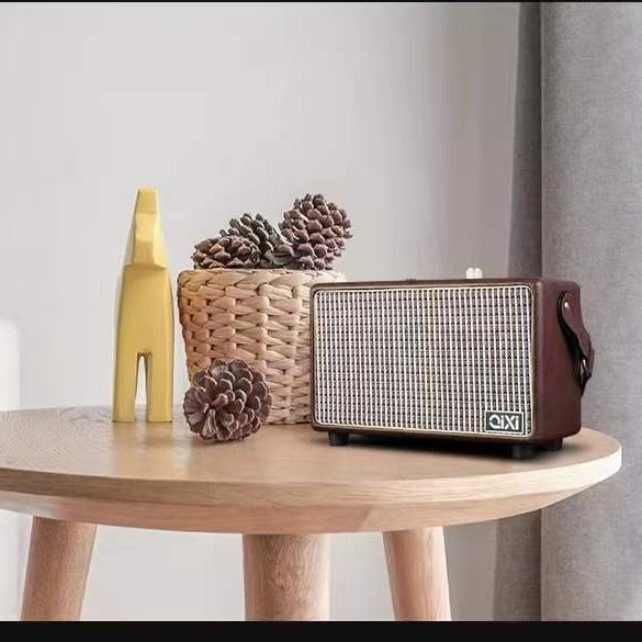 Mini-portable High Power Speaker With Microphone