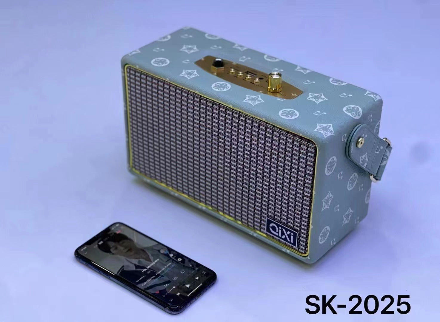 Mini-portable High Power Speaker With Microphone