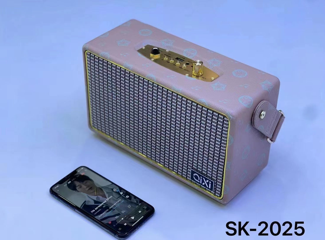 Mini-portable High Power Speaker With Microphone