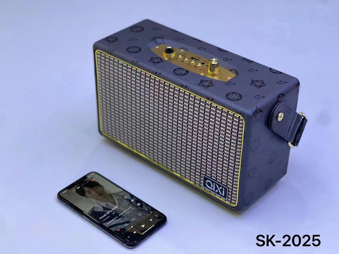 Mini-portable High Power Speaker With Microphone